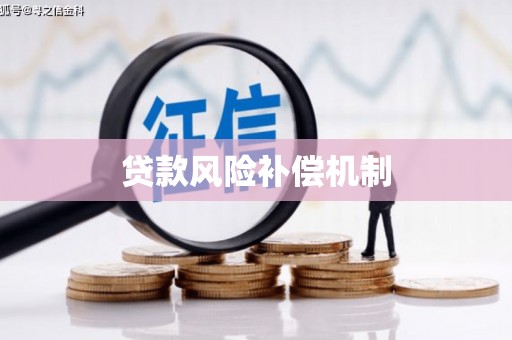 沈丘贷款风险补偿机制