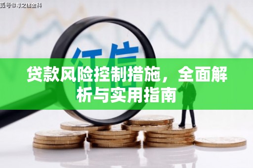 沈丘贷款风险控制措施，全面解析与实用指南
