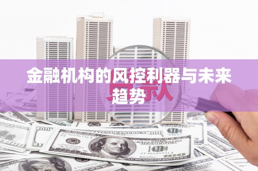 沈丘金融机构的风控利器与未来趋势