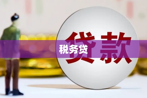 沈丘税务贷