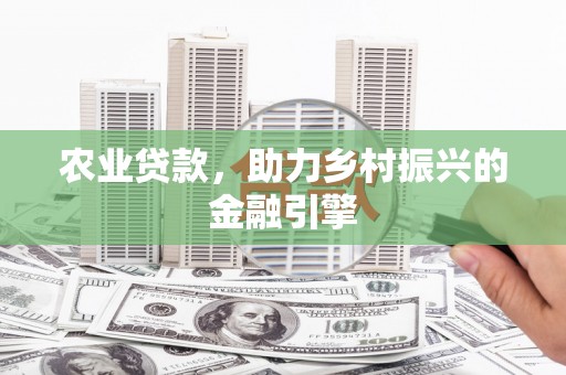 沈丘农业贷款，助力乡村振兴的金融引擎