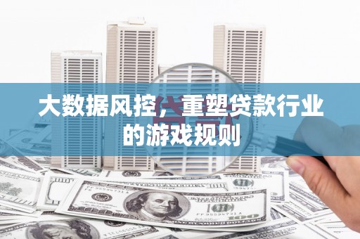 沈丘大数据风控，重塑贷款行业的游戏规则