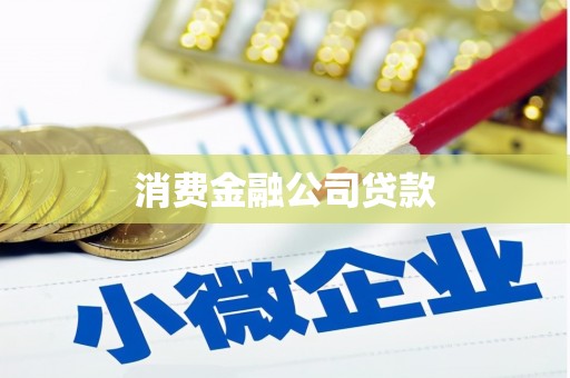 沈丘消费金融公司贷款