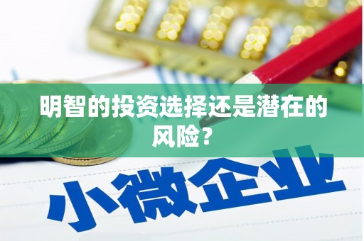 沈丘明智的投资选择还是潜在的风险？