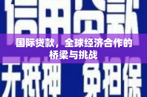 沈丘国际贷款，全球经济合作的桥梁与挑战