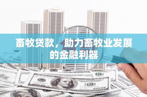 沈丘畜牧贷款，助力畜牧业发展的金融利器