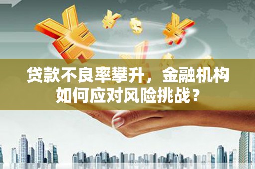 沈丘贷款不良率攀升，金融机构如何应对风险挑战？