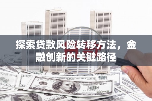沈丘探索贷款风险转移方法，金融创新的关键路径