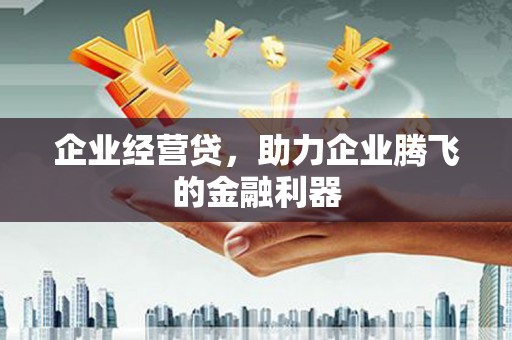 沈丘企业经营贷，助力企业腾飞的金融利器