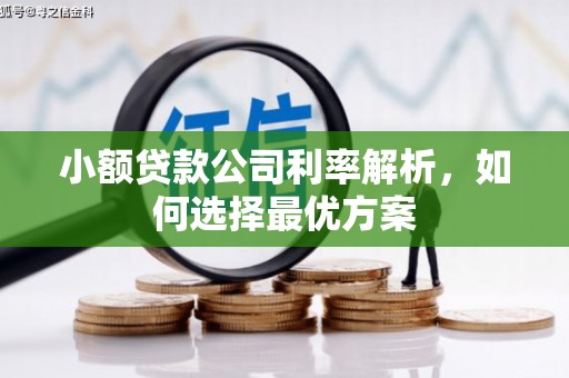 沈丘小额贷款公司利率解析，如何选择最优方案