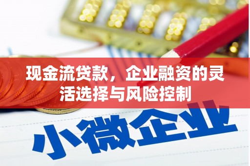 沈丘现金流贷款，企业融资的灵活选择与风险控制