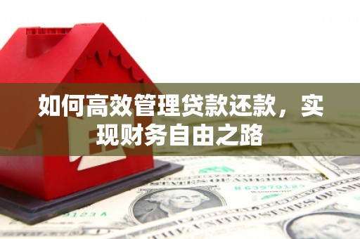 沈丘如何高效管理贷款还款，实现财务自由之路
