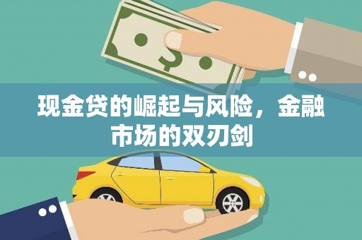 沈丘现金贷的崛起与风险，金融市场的双刃剑