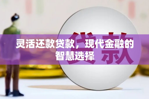 沈丘灵活还款贷款，现代金融的智慧选择