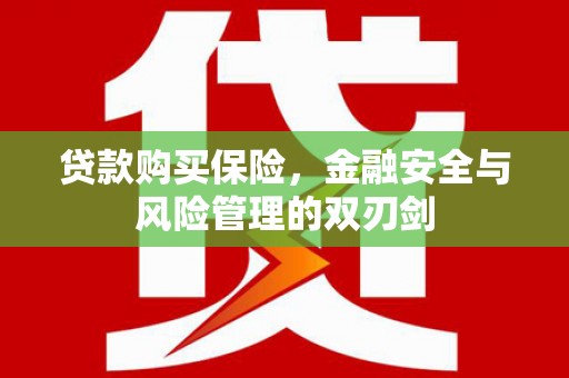沈丘贷款购买保险，金融安全与风险管理的双刃剑