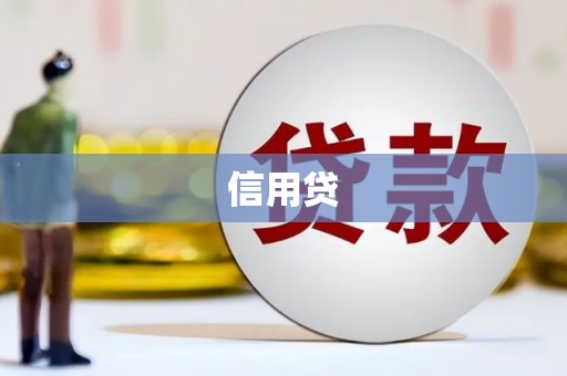 沈丘信用贷