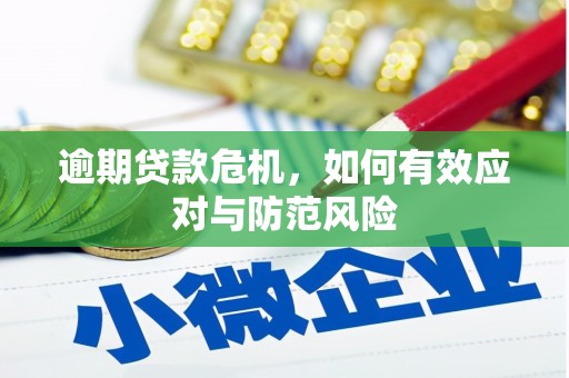 沈丘逾期贷款危机，如何有效应对与防范风险