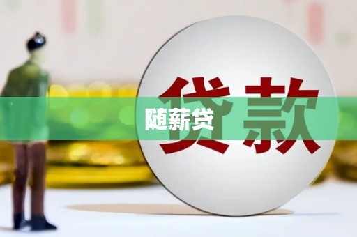 沈丘随薪贷