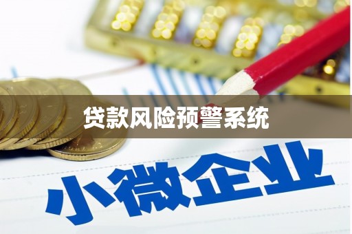 沈丘贷款风险预警系统