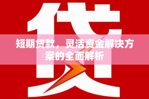 沈丘短期贷款，灵活资金解决方案的全面解析
