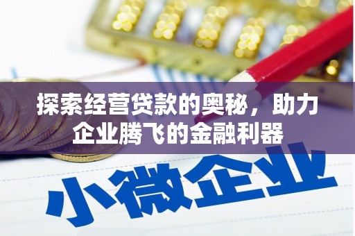 沈丘探索经营贷款的奥秘，助力企业腾飞的金融利器