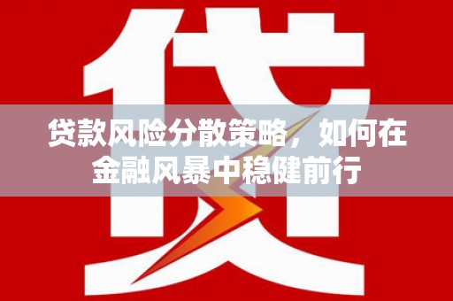沈丘贷款风险分散策略，如何在金融风暴中稳健前行