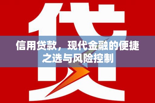 沈丘信用贷款，现代金融的便捷之选与风险控制
