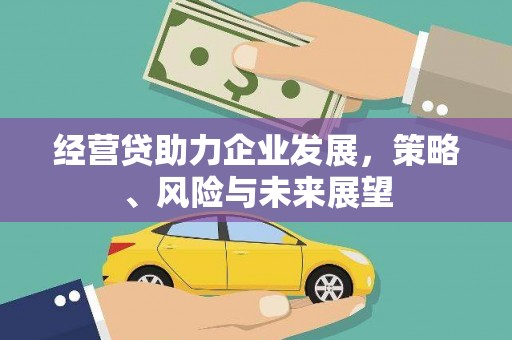 沈丘经营贷助力企业发展，策略、风险与未来展望