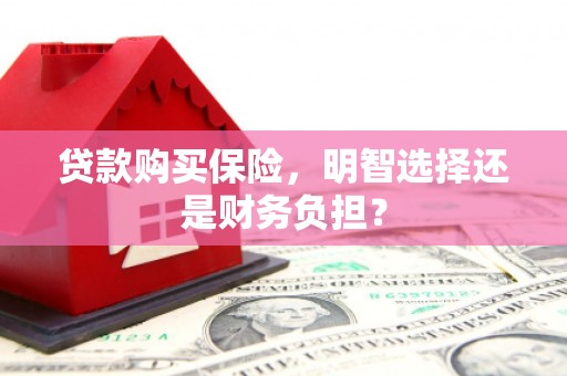 沈丘贷款购买保险，明智选择还是财务负担？