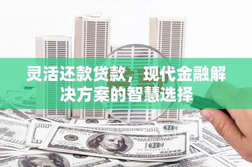 沈丘灵活还款贷款，现代金融解决方案的智慧选择