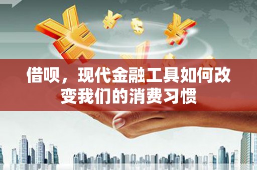 沈丘借呗，现代金融工具如何改变我们的消费习惯