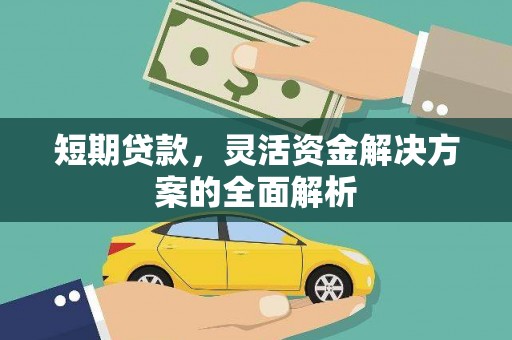 沈丘短期贷款，灵活资金解决方案的全面解析