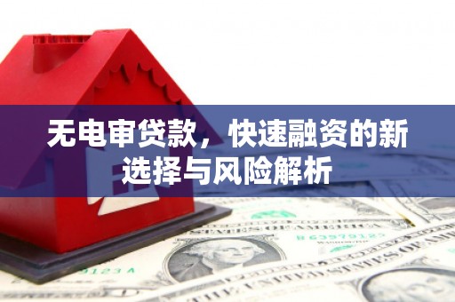 沈丘无电审贷款，快速融资的新选择与风险解析