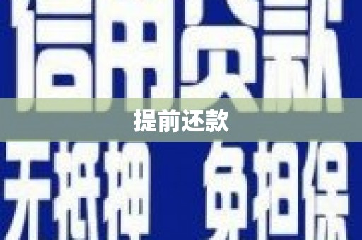 沈丘提前还款