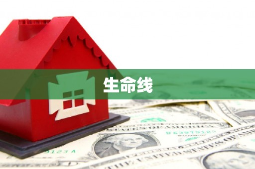 沈丘生命线