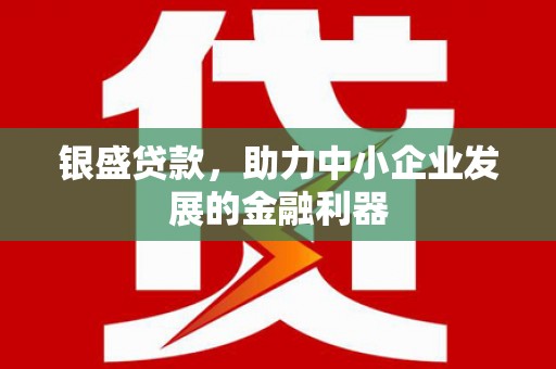 沈丘银盛贷款，助力中小企业发展的金融利器