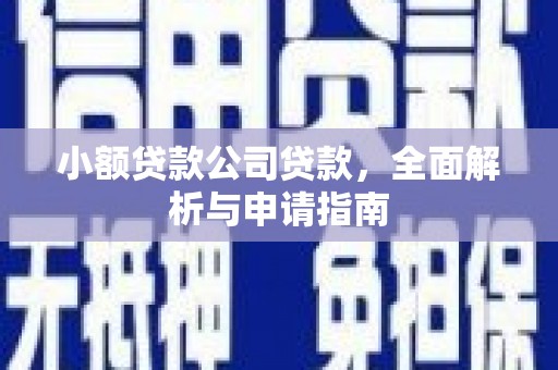 沈丘小额贷款公司贷款，全面解析与申请指南