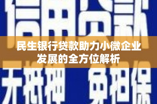 沈丘民生银行贷款助力小微企业发展的全方位解析