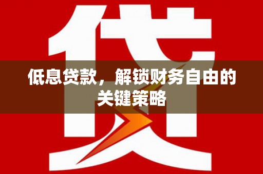 沈丘低息贷款，解锁财务自由的关键策略