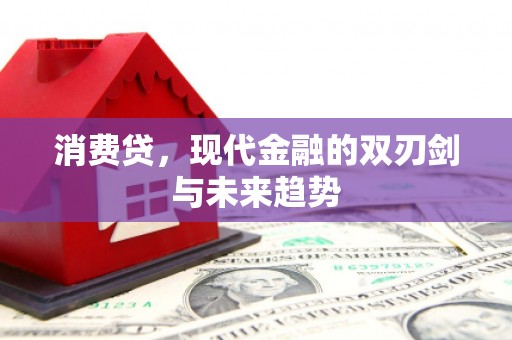 沈丘消费贷，现代金融的双刃剑与未来趋势