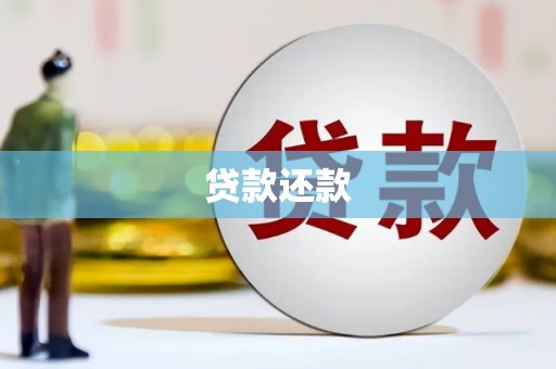 沈丘贷款还款