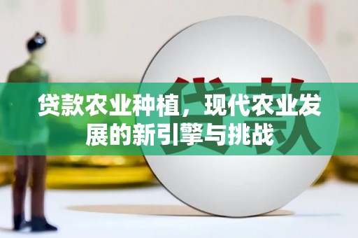 沈丘贷款农业种植，现代农业发展的新引擎与挑战