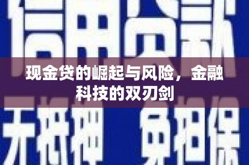 沈丘现金贷的崛起与风险，金融科技的双刃剑