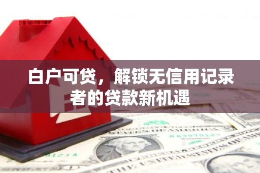 沈丘白户可贷，解锁无信用记录者的贷款新机遇