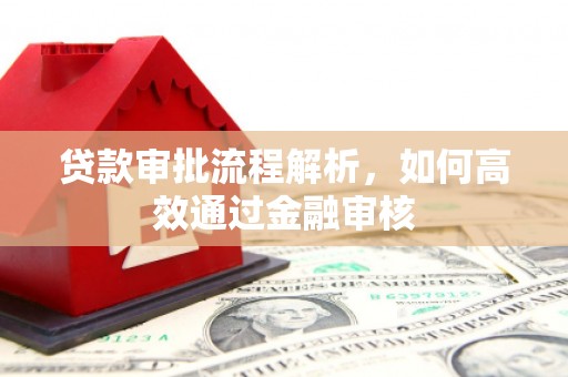 沈丘贷款审批流程解析，如何高效通过金融审核