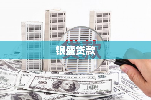 沈丘银盛贷款