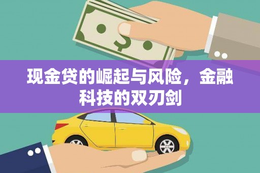 沈丘现金贷的崛起与风险，金融科技的双刃剑