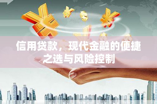 沈丘信用贷款，现代金融的便捷之选与风险控制