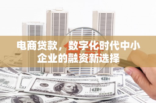 沈丘电商贷款，数字化时代中小企业的融资新选择