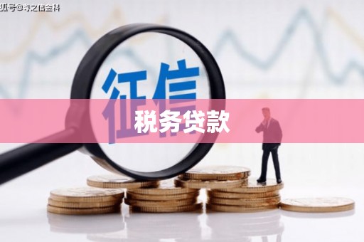 沈丘税务贷款